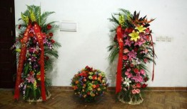 花篮网最新爆料新闻视频,最新爆料新闻视频深度解析